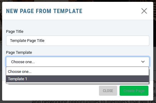 Create New Page from Template Settings Window